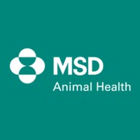 MSD Animal Health – Swine Team logo - Similar company to Pigteam Mx