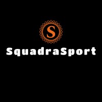 Squadra Group logo - Similar company to Aideskresearch