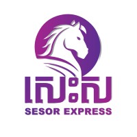 SESOR Express logo - Similar company to Gt Express