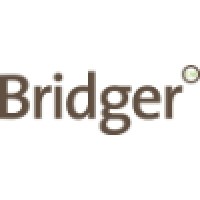 Bridger creditmanagement logo - Similar company to Major2 Accelerators
