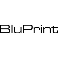 Bluprint logo - Similar company to Mithi Org