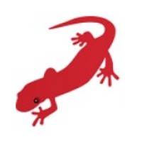 Salamander-Soft logo - Similar company to Salamandersoft
