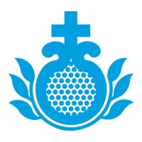 San Juan de Dios Gipuzkoa logo - Similar company to New Stage Solutions | Nss