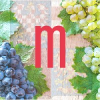 Representation of the South Moravian Region to the EU logo - Similar company to Circuleum - Zentrum Für Artistik & Kunst