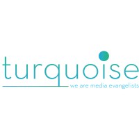 Turquoise Media Group logo - Similar company to Pro Knits