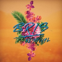 Bris Festival logo - Similar company to Liveside Event Ab