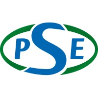 PSE GLOBAL a.s. logo - Similar company to Frelsi