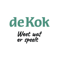 De Kok Accountants en Adviseurs B.V. logo - Similar company to Brunsveld Ingenieurs