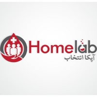 HomeLabs.pk logo - Similar company to Techigency