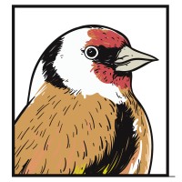 Goldfinch Financial Planning Limited logo - Similar company to Compass Financial Solutions