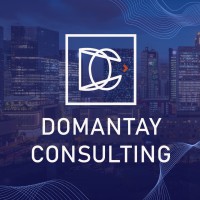 Domantay Consulting logo - Similar company to E-Oshine.Com