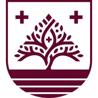 Citadel Health logo - Similar company to Lidersales Tecnologia