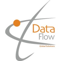 Dataflow Global Solutions SpA logo - Similar company to Get System