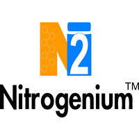 NITROGENIUM INNOVATIONS & FILTERATION INDIA PVT. LTD. logo - Similar company to Asynt Inc.