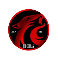 Fidelitas LLC logo - Similar company to Aequalend