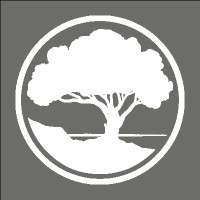 Madrona Financial & CPAs logo - Similar company to Bauer Evans, Inc. P.S.