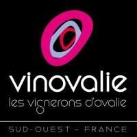 Vinovalie logo - Similar company to Maison Cisneros✨