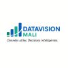 Datavision MALI logo - Similar company to Normisjon