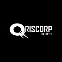 QrisCorp Limited logo - Similar company to Beeyond Tech