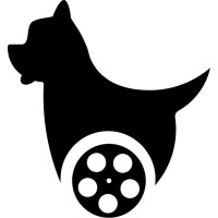 Willow Films logo - Similar company to Willow Films