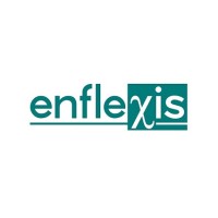Enflexis Solutions logo - Similar company to Inflexi Technologies Pvt Ltd