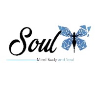 soulfitness logo - Similar company to Focus Fit