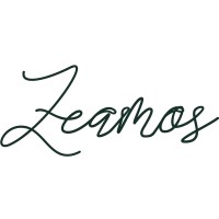 Zeamos Consulting logo - Similar company to Fowler Financial Planning Ltd