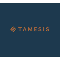 Tamesis Partners logo - Similar company to Pcb Advisory