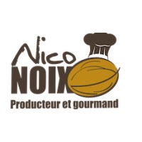 Niconoix logo - Similar company to Aceisp