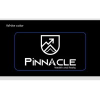 Pinnacle Wealth and Realty logo - Similar company to Hashtag Internn