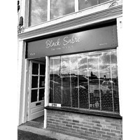 Black Sabre Limited logo - Similar company to Nadi Solutions