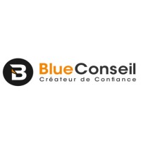 Blue Conseil Expertise logo - Similar company to Effissance