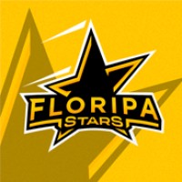 Floripa Stars logo - Similar company to Intense Game