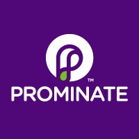 Prominate logo - Similar company to Chilli Ideas