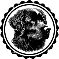 Tremissis Growth Capital logo - Similar company to Ceteri Capital