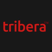 tribera.ai logo - Similar company to Hirevis Technologies