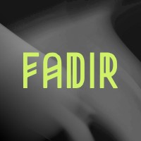 Fadir LTD logo - Similar company to Just Slots
