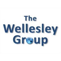 The Wellesley Group logo - Similar company to Wellesley Group Ltd