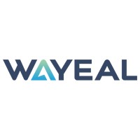 Wayeal Instruments logo - Similar company to Labtech, Inc.