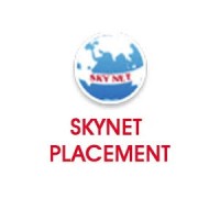 Skynet Placements logo - Similar company to Gritfit