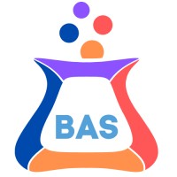Bingo Animation Studio logo - Similar company to Consultisor