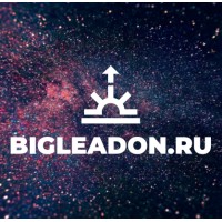 BigLeadOn Marketing Agency logo - Similar company to Green Solutions