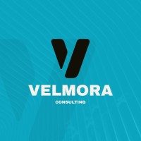 Velmora consulting logo - Similar company to Velmora