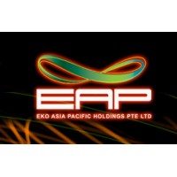 EKO Asia Pacific Holdings logo - Similar company to Rapid-Model Co., Ltd