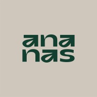 Ananas Creatives logo - Similar company to Tinova Agency