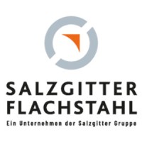 Salzgitter Flachstahl GmbH logo - Similar company to Telcat Multicom Gmbh