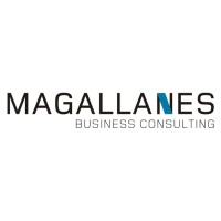 Magallanes Business Consulting logo - Similar company to Dpa Business Consulting