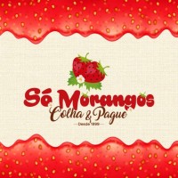 Só Morangos logo - Similar company to Escola Técnica Nossa Senhora Aparecida