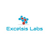 Excelsis Labs logo - Similar company to Marin Soccer Academy