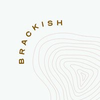 Brackish Creative logo - Similar company to 4Sight Inc.